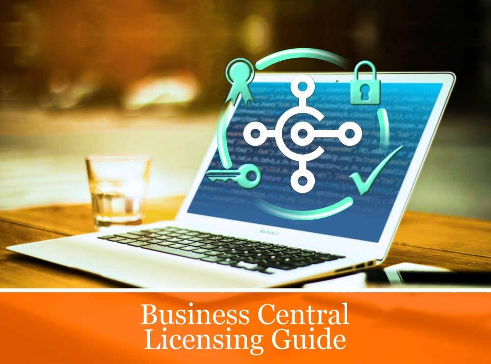 business central licensing guide